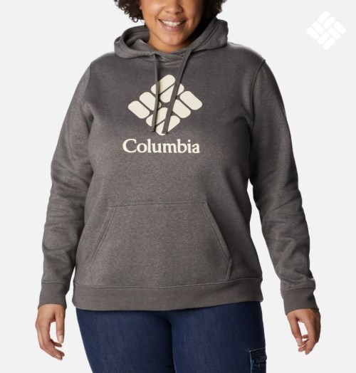 Women's Columbia Trek Graphic Hoodie Dark Grey | Plus Size CA-VL40C